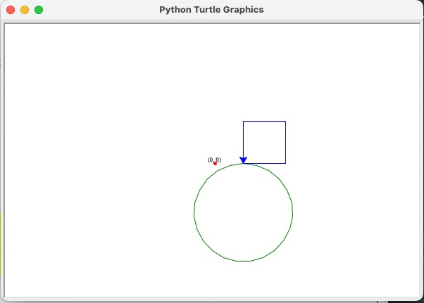 turtle